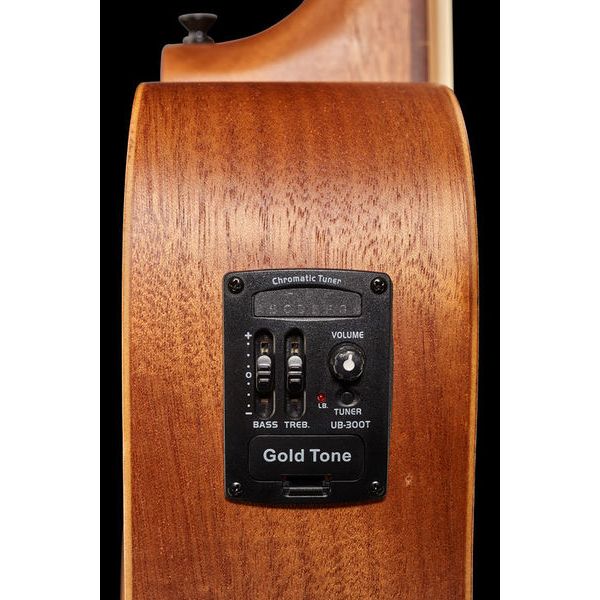 Gold Tone Micro Bass 25 Fretless w/Bag