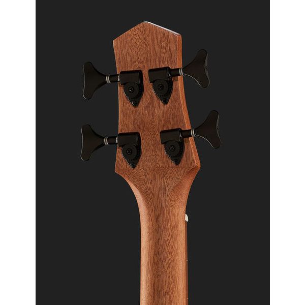Gold Tone Micro Bass 25 Fretless w/Bag