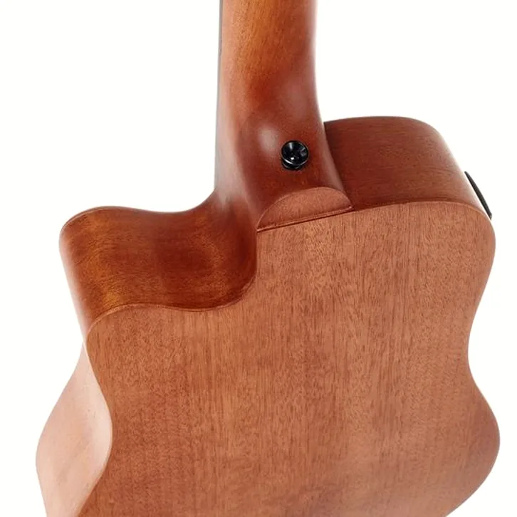 Test av Gold Tone Micro Bass 23 w/Bag: ljud, byggkvalitet och känsla