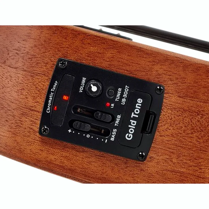 Test av Gold Tone Micro Bass 23 w/Bag: ljud, byggkvalitet och känsla
