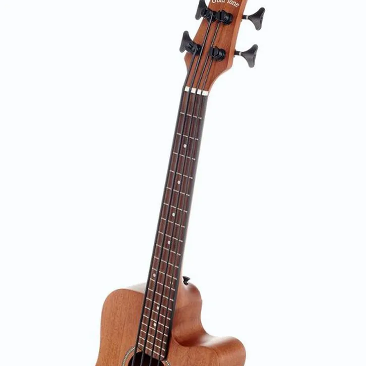 Test av Gold Tone Micro Bass 23 w/Bag: ljud, byggkvalitet och känsla
