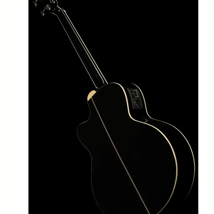 Harley Benton B-30BK Acoustic Bass test, teknisk analys och bedömning