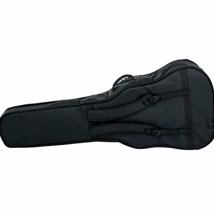 Harley Benton B-30BK Acoustic Bass test, teknisk analys och bedömning
