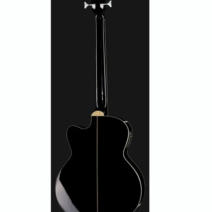 Harley Benton B-30BK-FL Acoustic Bass Bundle test och teknisk analys
