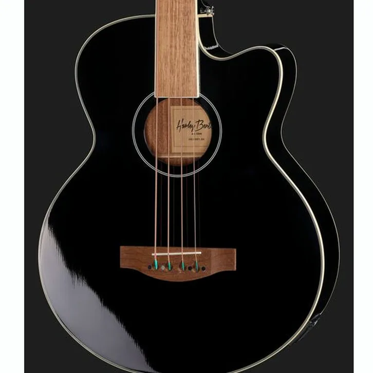 Harley Benton B-30BK-FL Acoustic Bass Bundle test och teknisk analys