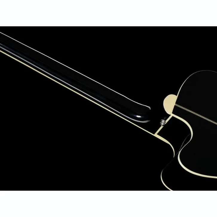 Harley Benton B-30BK-FL Acoustic Bass Bundle test och teknisk analys