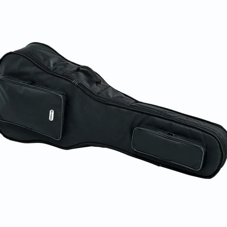 Harley Benton B-30BK-FL Acoustic Bass Bundle test och teknisk analys