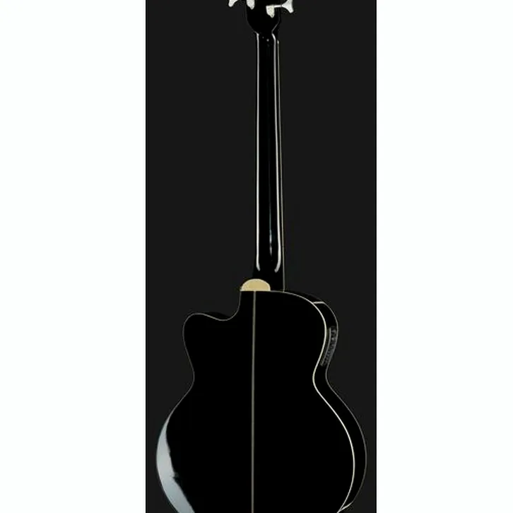 Harley Benton B-35BK-FL Acoustic Bass test och teknisk analys