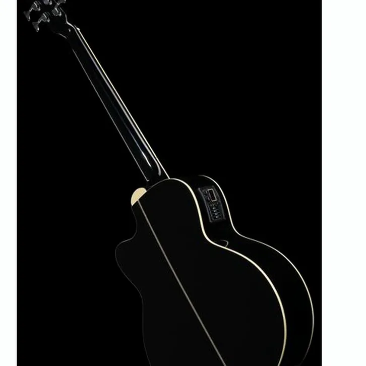 Harley Benton B-35BK-FL Acoustic Bass test och teknisk analys