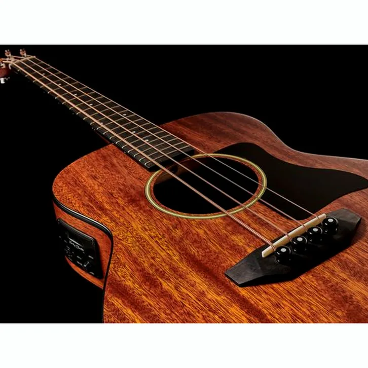 Harley Benton GS-Travel-E Bass Mahoga Set test och teknisk analys