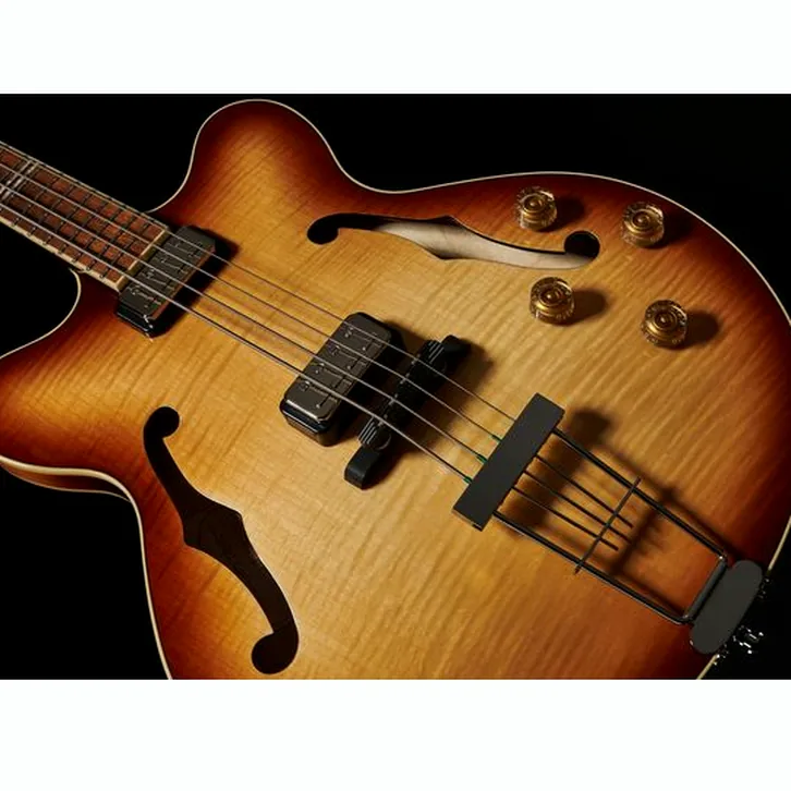 Höfner Verythin Bass-HCT-500/7 w/GigB:test och teknisk analys
