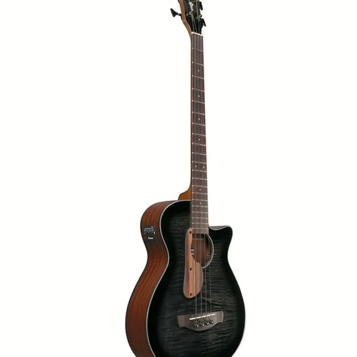 Ibanez AEGB25E-TKH test och recension av tekniska egenskaper