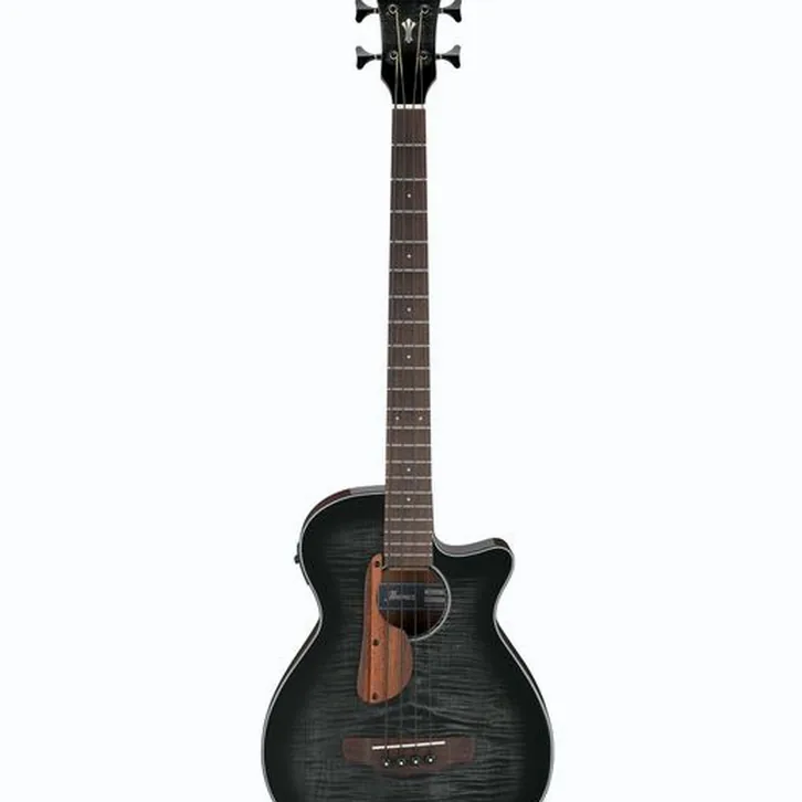 Ibanez AEGB25E-TKH test och recension av tekniska egenskaper