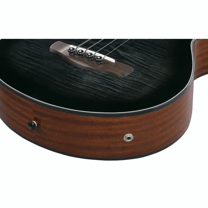 Ibanez AEGB25E-TKH test och recension av tekniska egenskaper