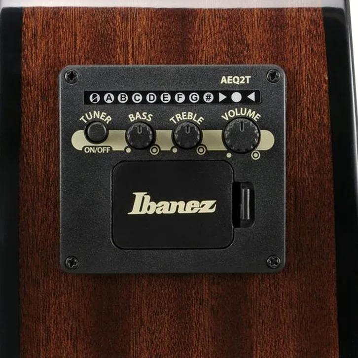 Ibanez AEGB25E-TKH test och recension av tekniska egenskaper
