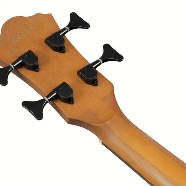 Ibanez AEGB25E-TKH test och recension av tekniska egenskaper