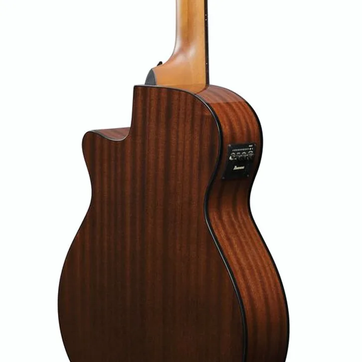 Ibanez AEGB25E-TKH test och recension av tekniska egenskaper