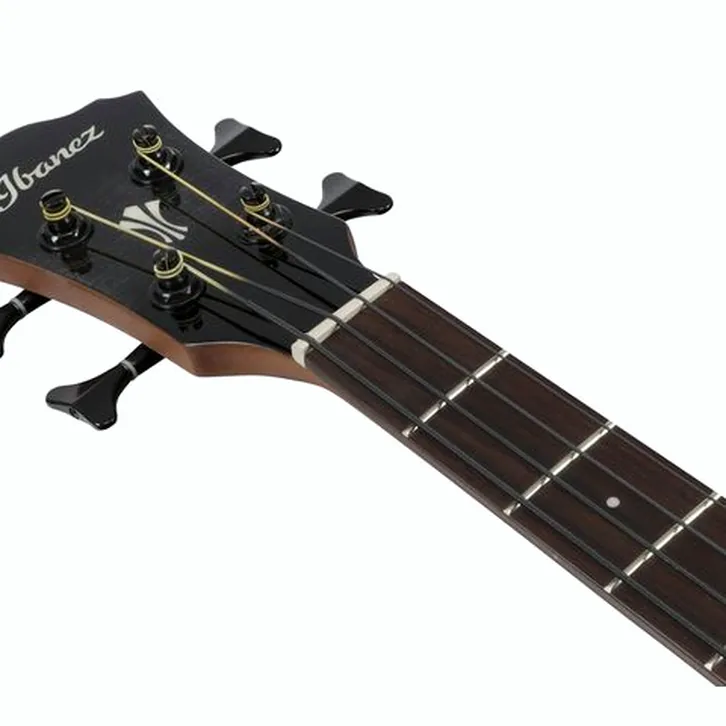 Ibanez AEGB25E-TKH test och recension av tekniska egenskaper