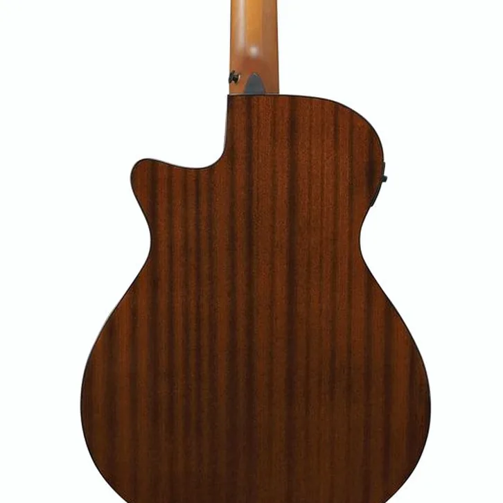 Ibanez AEGB25E-TKH test och recension av tekniska egenskaper