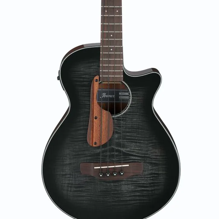 Ibanez AEGB25E-TKH test och recension av tekniska egenskaper