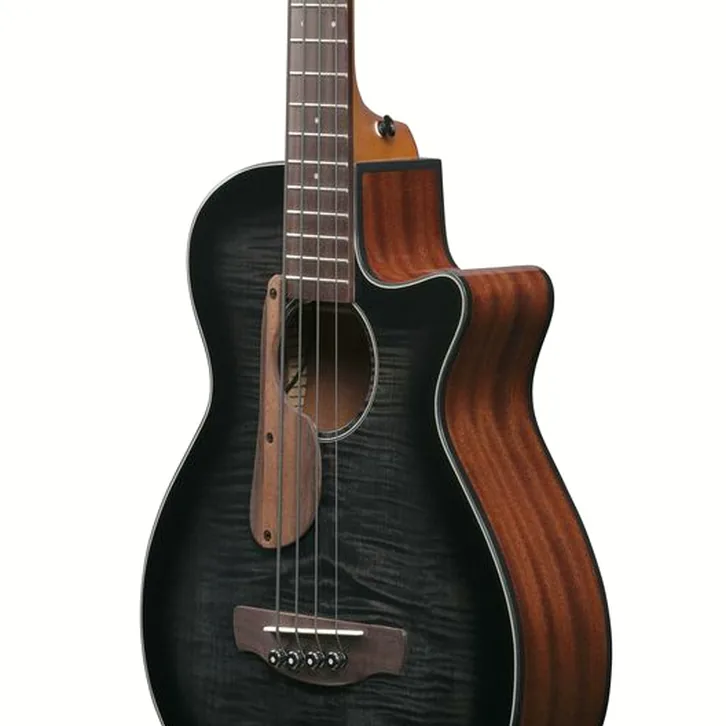 Ibanez AEGB25E-TKH test och recension av tekniska egenskaper