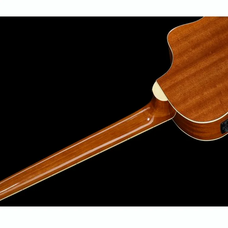 Ortega D8CE-5-L, test av basgitarr