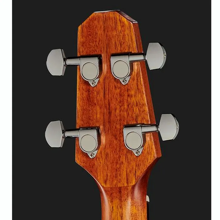 Test och recension av Harley Benton GS-Travel-E Bass Mahogany