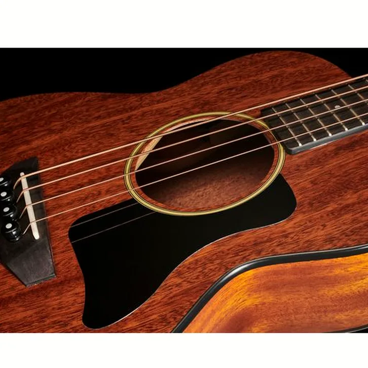 Test och recension av Harley Benton GS-Travel-E Bass Mahogany