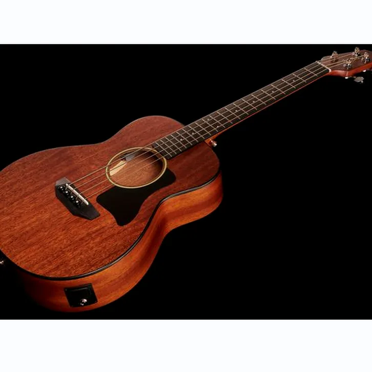 Test och recension av Harley Benton GS-Travel-E Bass Mahogany