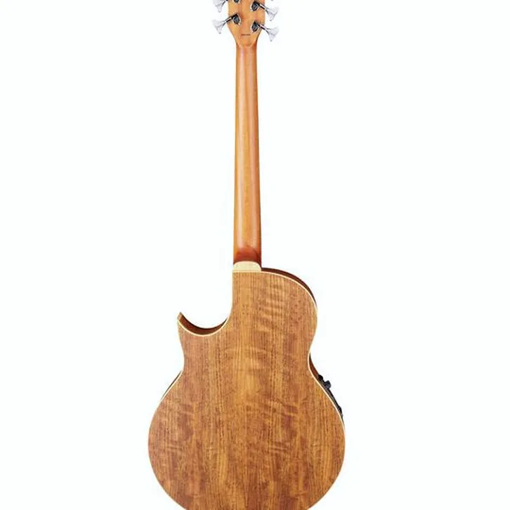 Warwick Alien 5 NT – test och omdöme