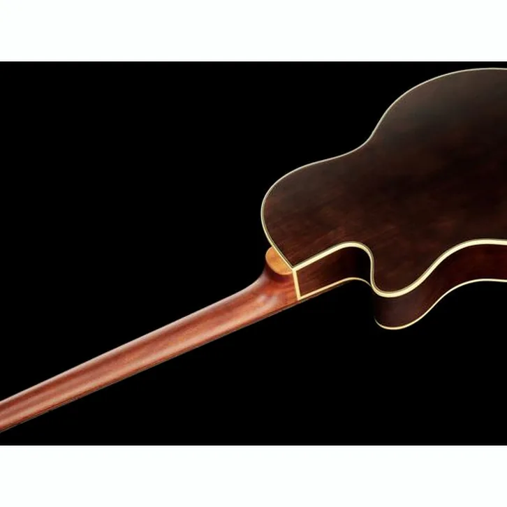 Warwick Alien Deluxe 5 Hybrid Thinline test och komplett recension