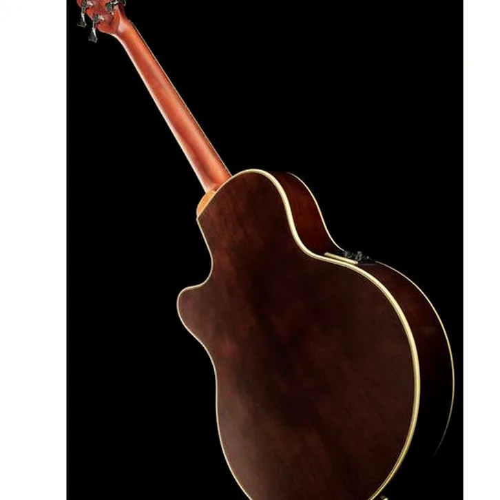 Warwick Alien Deluxe 5 Hybrid Thinline test och komplett recension