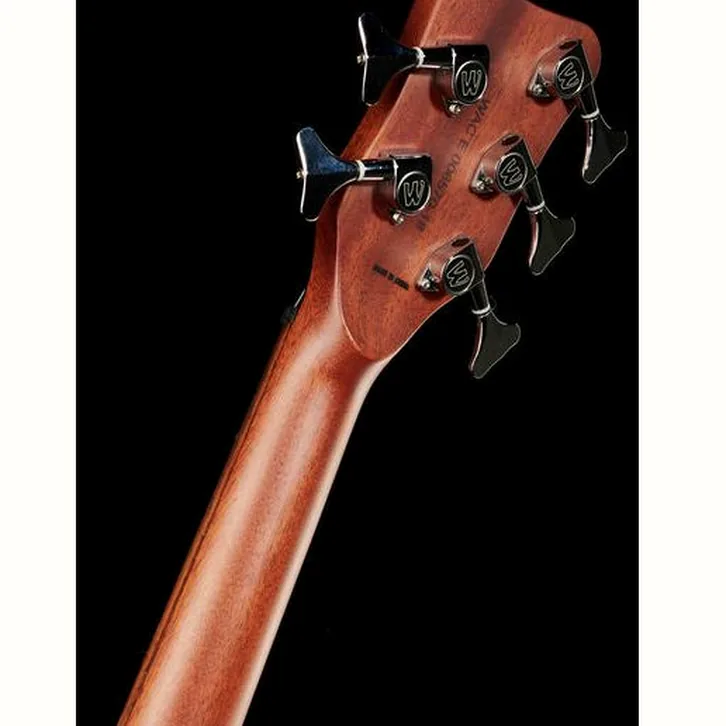 Warwick Alien Deluxe 5 Hybrid Thinline test och komplett recension