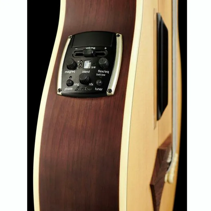 Warwick Alien Deluxe 5 Hybrid Thinline test och komplett recension