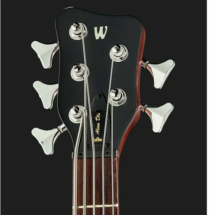 Warwick Alien Deluxe 5 Hybrid Thinline test och komplett recension