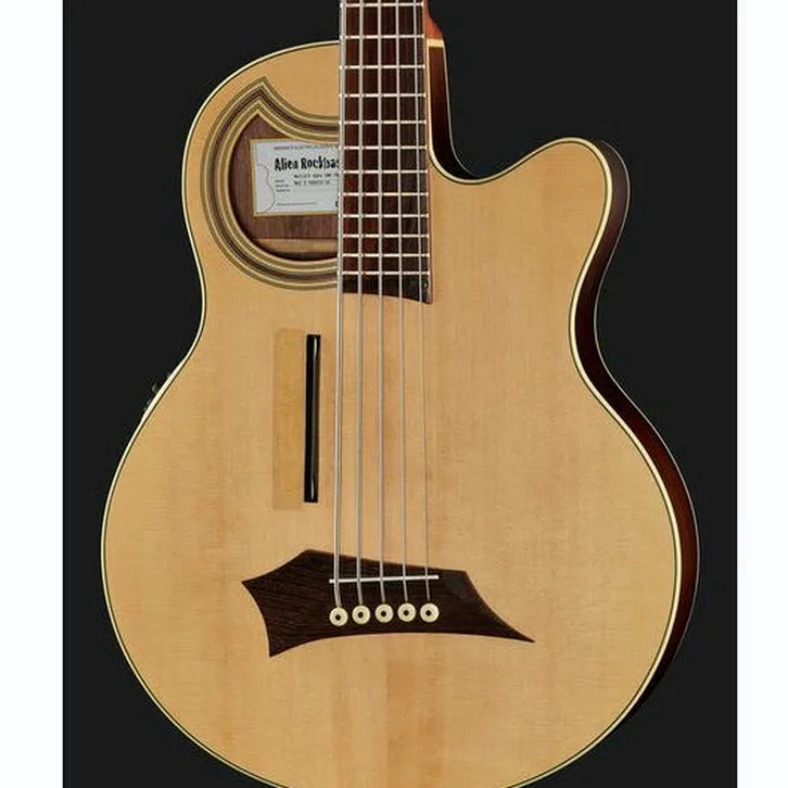 Warwick Alien Deluxe 5 Hybrid Thinline test och komplett recension