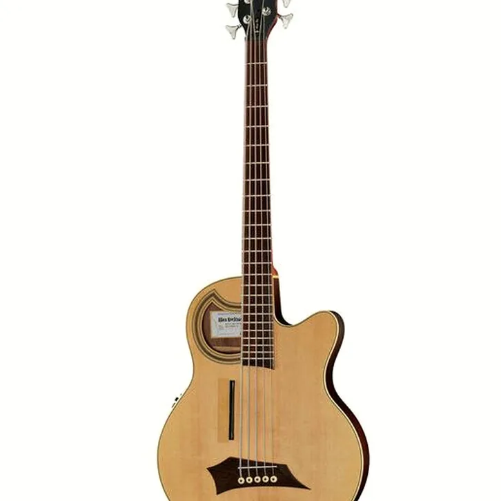 Warwick Alien Deluxe 5 Hybrid Thinline test och komplett recension