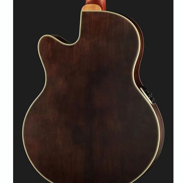 Warwick Alien Deluxe 5 Hybrid Thinline test och komplett recension