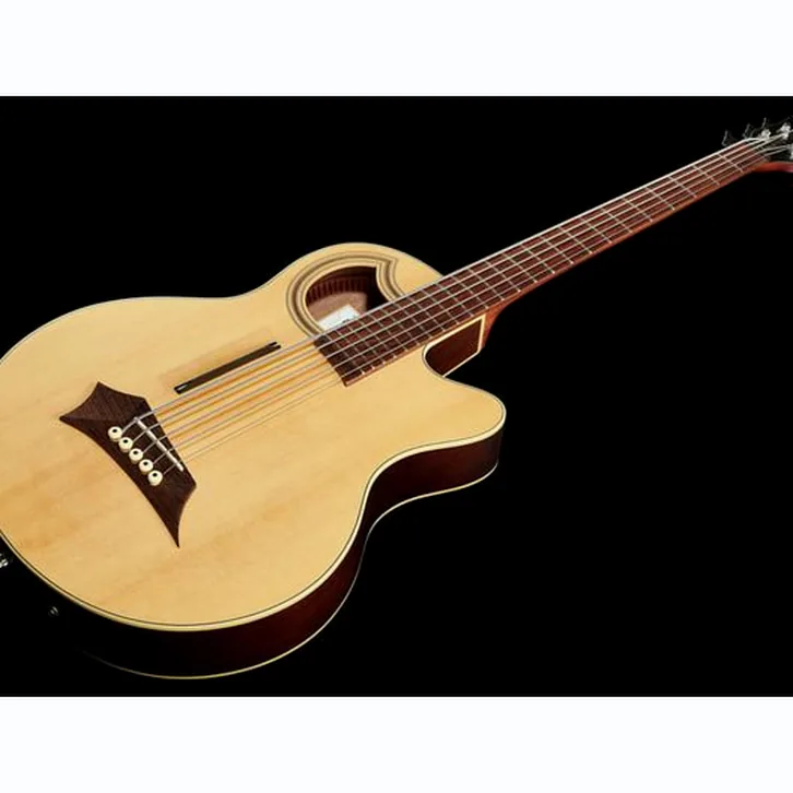 Warwick Alien Deluxe 5 Hybrid Thinline test och komplett recension