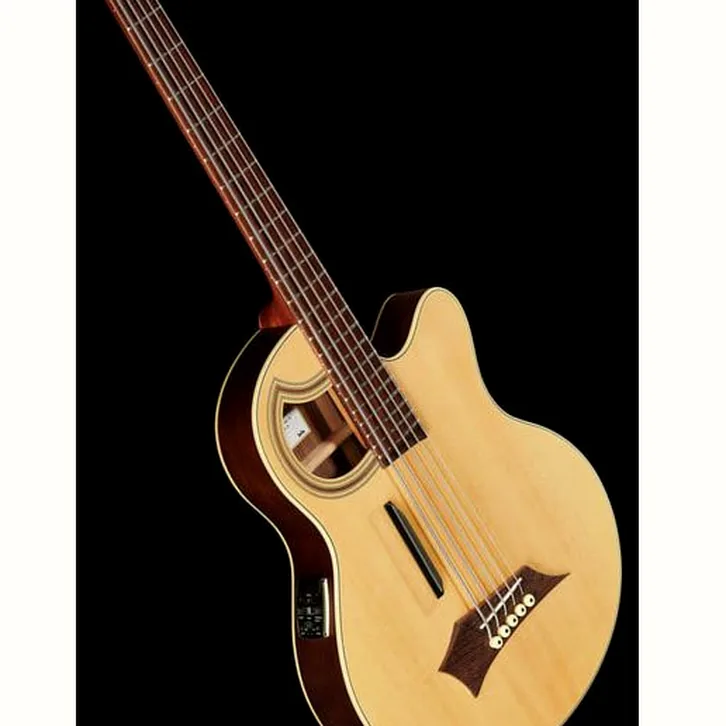 Warwick Alien Deluxe 5 Hybrid Thinline test och komplett recension