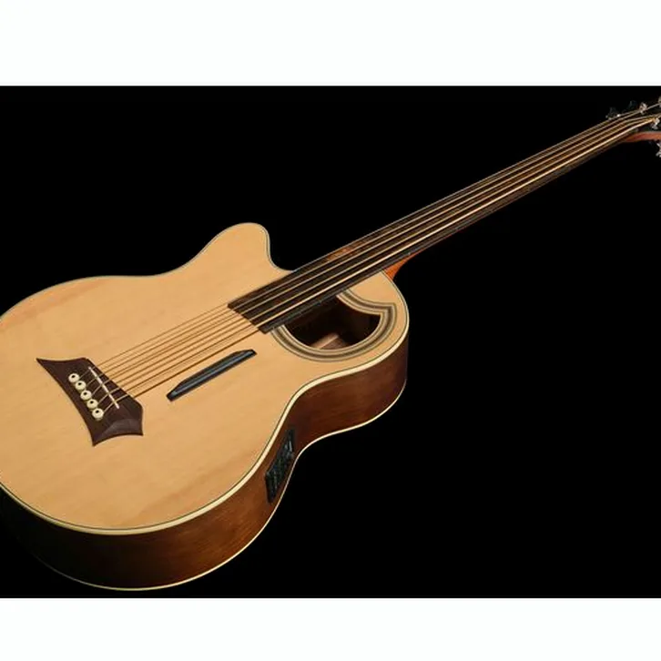 Warwick Alien Deluxe 5 NT FL LH test och teknisk analys