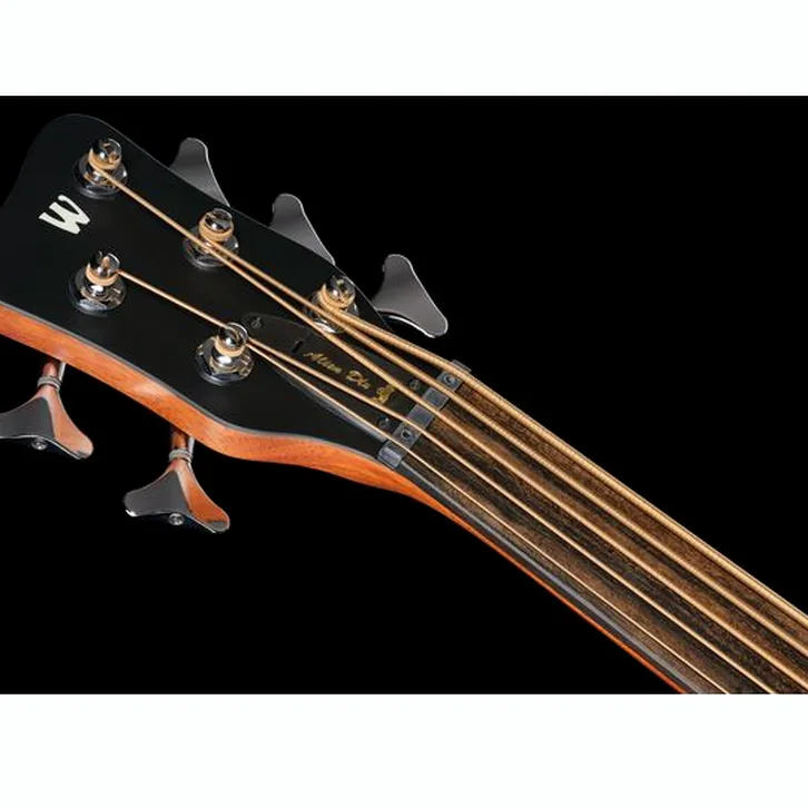 Warwick Alien Deluxe 5 NT FL LH test och teknisk analys
