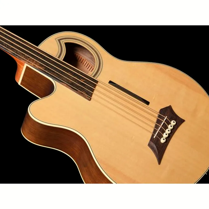 Warwick Alien Deluxe 5 NT FL LH test och teknisk analys