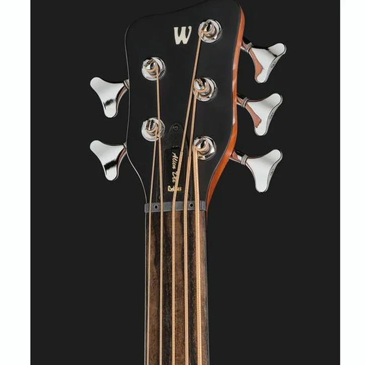Warwick Alien Deluxe 5 NT FL LH test och teknisk analys