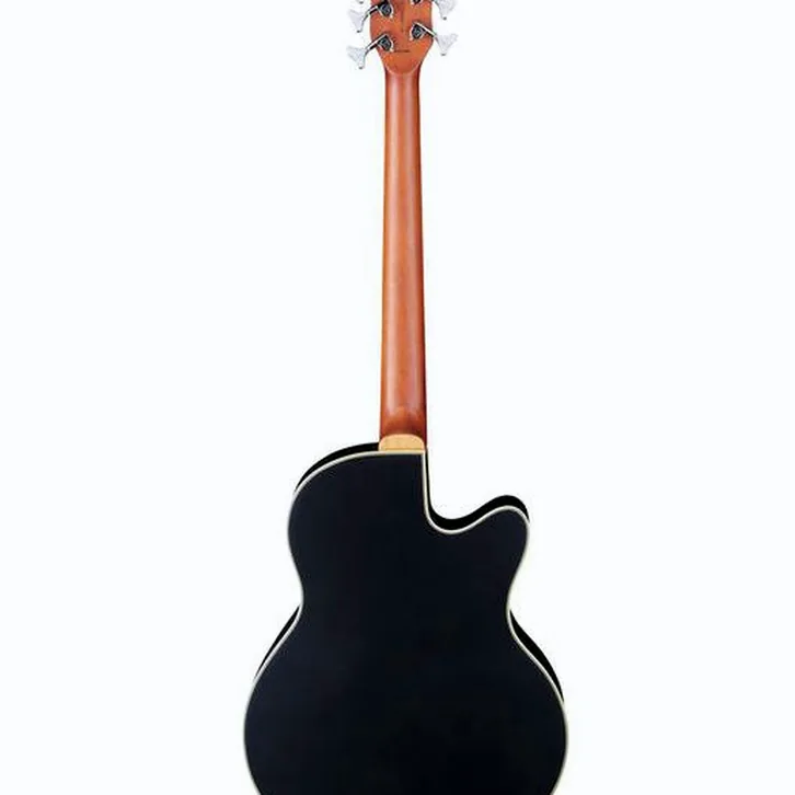 Warwick RB Alien Standard 5 NT LH test och teknisk analys