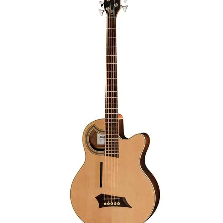 Warwick RockBass Alien Deluxe 5 NTS test djupgående analys och pris