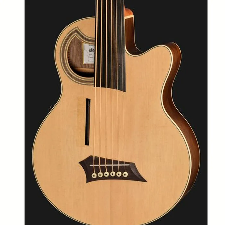 Warwick RockBass Alien Deluxe 6 NT FR test och teknisk genomgång