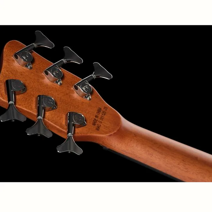 Warwick RockBass Alien Deluxe 6 NT FR test och teknisk genomgång