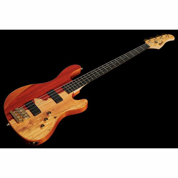 Cort Rithimic Jeff Berlin 4