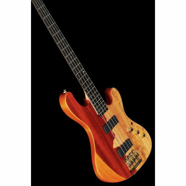 Cort Rithimic Jeff Berlin 4